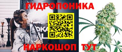 стаф Брянск