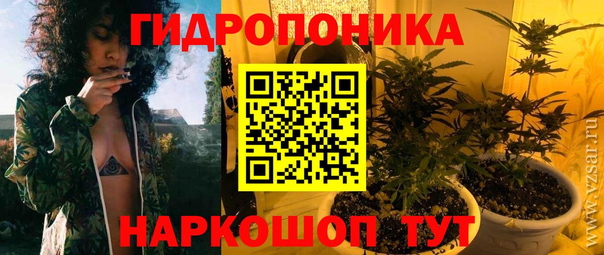 Каннабис OG Kush Донской